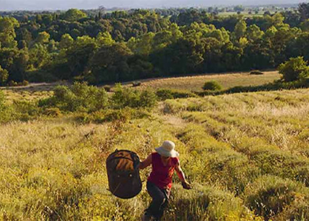 Sustainable Sourcing
